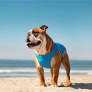 Coleira de Peito Termica Cold Dog